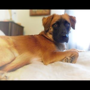 Meet your Posher, Sasha